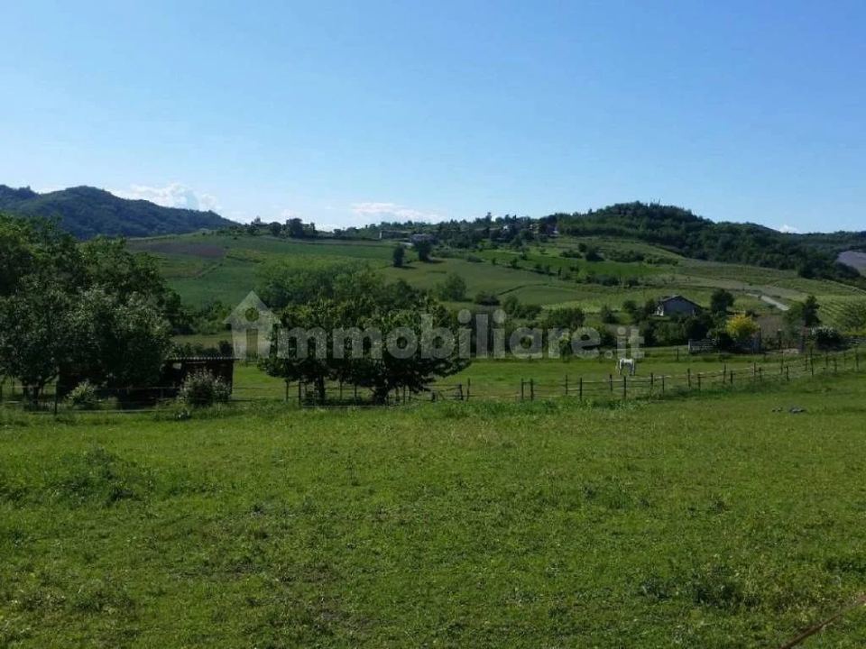 Palazzo storico con casa nel giardino, Castelletto Merli · Guazzolo: foto 4 di 4