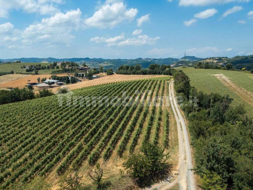Restored stone farmhouse, Grazzano Badoglio: photo 4 of 4