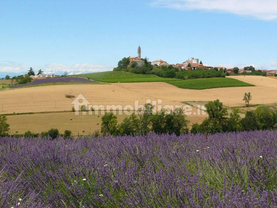 Casa panoramica con giardino, Villadeati · Trittango: foto 1 di 4